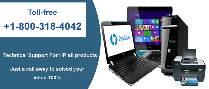 Get Contact HP...