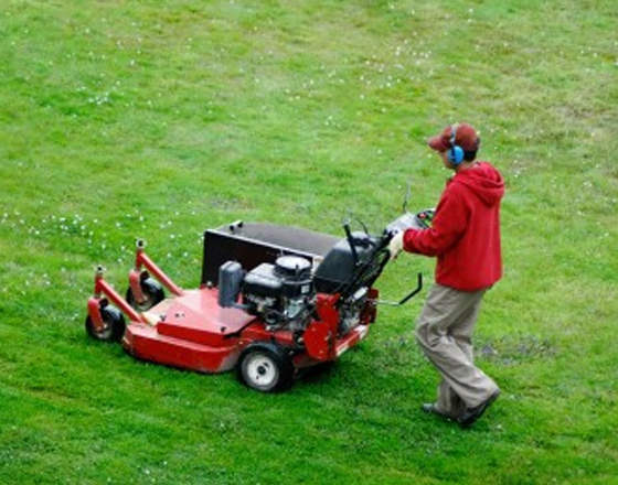 Lawn Care Worker Cortador de Grama