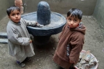 pulwama news, pulwama news, muslims in pulwama join hands with pundits to restore 80 year old temple, Maha shivratri