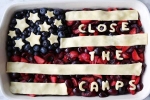 close the camps, Indian American Activist Padma Lakshmi, indian american activist padma lakshmi send a message to trump through a pie on 4th of july, Padma lakshmi