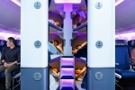 Air New Zealand Bunk Beds 2026, Air New Zealand Bunk Beds new updates, air new zealand introduces bunk beds in economy flights, Shankar