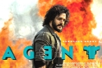 Akhil Akkineni, Agent breaking updates, a grand pre release event planned for akhil s agent, Mammootty