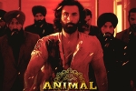 Animal Filmfare, Animal nominations, record breaking nominations for animal, Rana