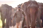 Aranya​ movie review and rating, Aranya​ review, aranya movie review rating story cast and crew, Vishnu vishal