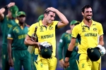 Australia Vs South Africa result, Australia Vs South Africa result, australia enters world cup final 2023, Mitchell starc