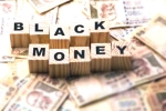 black money in india, black money, 490 billion in black money concealed abroad by indians study, Indian politician