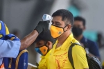 team, coronavirus, csk indian player 11 support staff test positive for covid 19, Ipl 2020