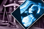 Pregnancy, Pregnancy, bill to issue certificates for miscarriage, Florida top story