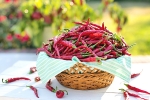 diet and fitness, chili weight loss pills, chili peppers help burn away the fat, Purdue university