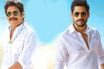 Bangarraju news, Bangarraju trailer talk, ten days worldwide collections of bangarraju, Soggade chinni nayana