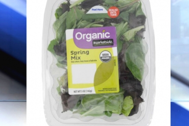 Dead Bat Found In Salad In Florida