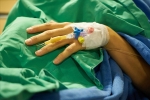 nipah virus life cycle, nipah virus ppt, here s how you can prevent deadly infection nipah virus from affecting you, Nipah virus