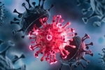 USA Coronavirus breaking news, USA Coronavirus updates, delta variant makes usa tensed again, Pfizer