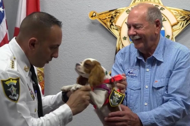 Dog attacked and rescued from alligator honored as &ldquo;Deputy Dog&rdquo;