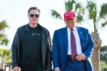 Donald Trump about Elon Musk, Donald Trump about Elon Musk, donald trump finally addresses rumors about elon musk, North carolina