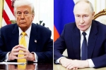 Donald Trump, Donald Trump, all about donald trump and vladimir putin s call, Vladimir putin