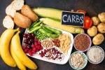 Too Many Carbs update, Too Many Carbs latest update, what happens if you eat too many carbs, Very
