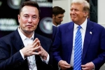 Elon Musk and Donald Trump spends, Donald Trump, elon musk s big bet on donald trump, Nelson