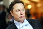 Elon Musk, Elon Musk India visit team, elon musk s india visit delayed, Ntr