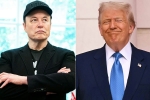 Elon Musk Vs Donald Trump news, Elon Musk, elon musk s latest attack on donald trump, Trust