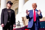 Elon Musk and Donald Trump latest updates, Elon Musk and Donald Trump latest, elon musk asks donald trump to reverse china tariffs, Dog
