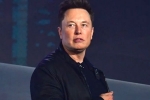 Elon Musk updates, Elon Musk latest update, elon musk talks about cage fight again, Domino s