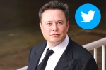 Elon Musk Twitter CEO, Elon Musk, elon musk takes a complete control over twitter, American media