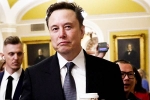 Elon Musk vs Trump Supporters latest breaking, Elon Musk vs Trump Supporters, elon musk vs trump supporters over indian immigrants, Vivek