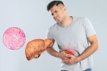 Fatty Liver news, Fatty Liver latest, fatty liver can be reversed in just one month, Fruits
