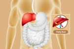 Fatty Liver changes, Fatty Liver problems, dangers of fatty liver, Diabetes