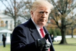 trump, Trump presidency, former u s senators warn of constitutional crisis under trump, Playboy