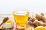 Ginger And Honey, Ginger And Honey breaking, ginger and honey benefits for lung health, Inflammation