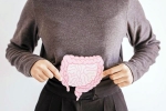 Gut Vs Skin bad, Gut Vs Skin, your gut decides about your skin, Various skin problems