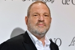 British Film Institute, British Film Institute, uk probe into harvey weinstein s sexual assaults widens with seven women, Gwyneth paltrow British Film Institute, British Film Institute, uk probe into harvey weinstein s sexual assaults widens with seven women, Gwyneth paltrow