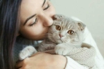 cats pets, cats pets, international cat day reasons why being a cat owner is good for health, Autism