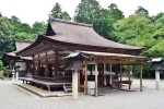 Japan Viral Mikami Shrine videos, Japan Viral Mikami Shrine, why are travellers flocking to japan s viral mikami shrine, Death