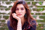Bollywood, Covid-19 Positive, kriti sanon tested positive for covid 19, Neetu kapoor