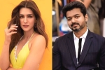 Kriti Sanon with Vijay, Kriti Sanon, kriti sanon to romance vijay in his next, 1 nenokkadine