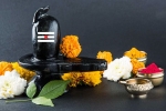 maha shivaratri 2019 isha, Maha Shivratri lord shiva, maha shivratri 2019 visit these lord shiva temples to witness best of the maha shivratri, Maha shivratri