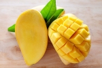 chemicals in mangoes, cancer causing chemicals in mangoes, mouth watering mangoes may contain cancer causing chemicals, Arsenic