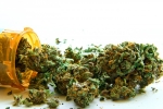 Marijuana legalized in Florida, Medical marijuana legal in Florida, medical marijuana available in florida, Traumatic stress disorder