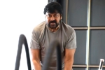 Chiranjeevi, Chiranjeevi breaking updates, megastar chiranjeevi is back to work, Trisha