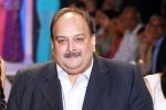 Mehul Choksi's Extradition, Mehul Choksi breaking news, mehul choksi s extradition india s assurance to belgium, Wet Mehul Choksi's Extradition, Mehul Choksi breaking news, mehul choksi s extradition india s assurance to belgium, Wet