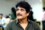 Nagarjuna periodic film, Nagarjuna upcoming movie, nagarjuna in a periodic drama, Prasanna kumar bezawada