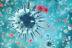 China, China, a new virus discovered in china is another pandemic on the way, Swine flu