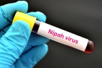 suspected Nipah Virus, Nipah Virus new case, nipah virus is back again two deaths registered, World health organization