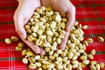 Pistachios protein snack, Pistachios rich in proteins, pistachios are a perfect protein snack, Evening snack