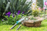 Plants that attract Snakes, Plants that attract Snakes news, five plants that attract snakes at home, Summer heat
