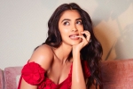 Pooja Hegde, Pooja Hegde next film, pooja hegde in talks for a biggie, Siddharth roy kapur