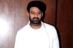 Niddhi Agerwal, Prabhas film updates, two beauties locked to romance prabhas, A maruthi film